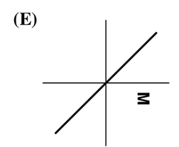 选项 E 图示